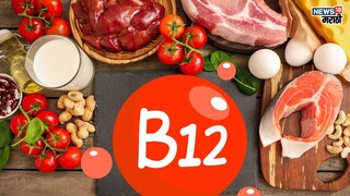 प्रतिकात्मक फोटो : केस गळतात? थकवा येतो ? विसरभोळेपणा वाढला ? तुम्ही म्हातारे नाही झालात, तुमच्या शरीरात आहे व्हिटॅमिन  B12 ची कमतरता