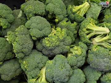 Vitamin C Benefits: हिवाळ्यात आजारी नाही पडायचं? मग खा ‘हे’ पदार्थ मिळेल ताकद