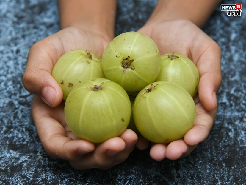 आवळ्यात ‘व्हिटॅमिन सी’ सोबतत लोह, कॅल्शियम आणि अँटीऑक्सिडंट्स असतात, ज्यामुळे शरीराला विविध पायदे मिळतात. ‘व्हिटॅमिन सी’ मुळे रोगप्रतिकारक शक्ती वाढयला मदत होते. तर लोहामुळे रक्ताची कमतरता भरून निघते.
