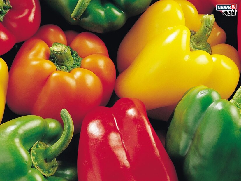 सिमला मिर्चीमध्ये व्हिटॅमिन ए, व्हिटॅमिन बी, व्हिटॅमिन सी, आणि व्हिटॅमिन ई असतं. सिमला मिर्चीमध्ये इतर भाज्यांपेक्षा जास्त व्हिटॅमिन ई असतं. त्यामुळे हिवाळ्यात शिमला मिर्ची किंवा ढोबळी मिर्ची खाल्ल्याने अनेक आजारांना दूर ठेवता येतं.  