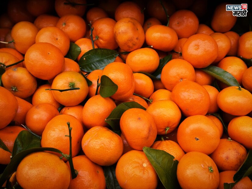 संत्र्यांमध्ये ‘व्हिटॅमिन सी’सोबत अँटिऑक्सिड्टस आणि फायबर्स आढळून येतात. अँटिऑक्सिड्टसमुळे त्वचा निरोगी राहायला मदत होते. तर फायबर्समुळे अन्न चांगलं पचायला मदत होऊन पोट भरल्यासारखं राहतं. त्यामुळे भूक नियंत्रणात राहते.