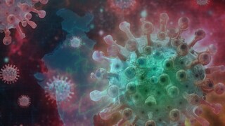 HMPV Virus Case in India: ज्याची भीती होती तेच झालं! चीननंतर आता HMPV भारतात, 8 महिन्यांच्या मुलाला लागण