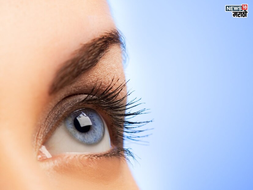 रात्री झोपल्यानंतर मोठा होणारा मानवी शरीराचा अवयव म्हणजे डोळ्यांच्या पापण्या आणि रेटिना किंवा डोळ्यांचा पडदा आहे.