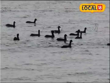 मंगोलिया,