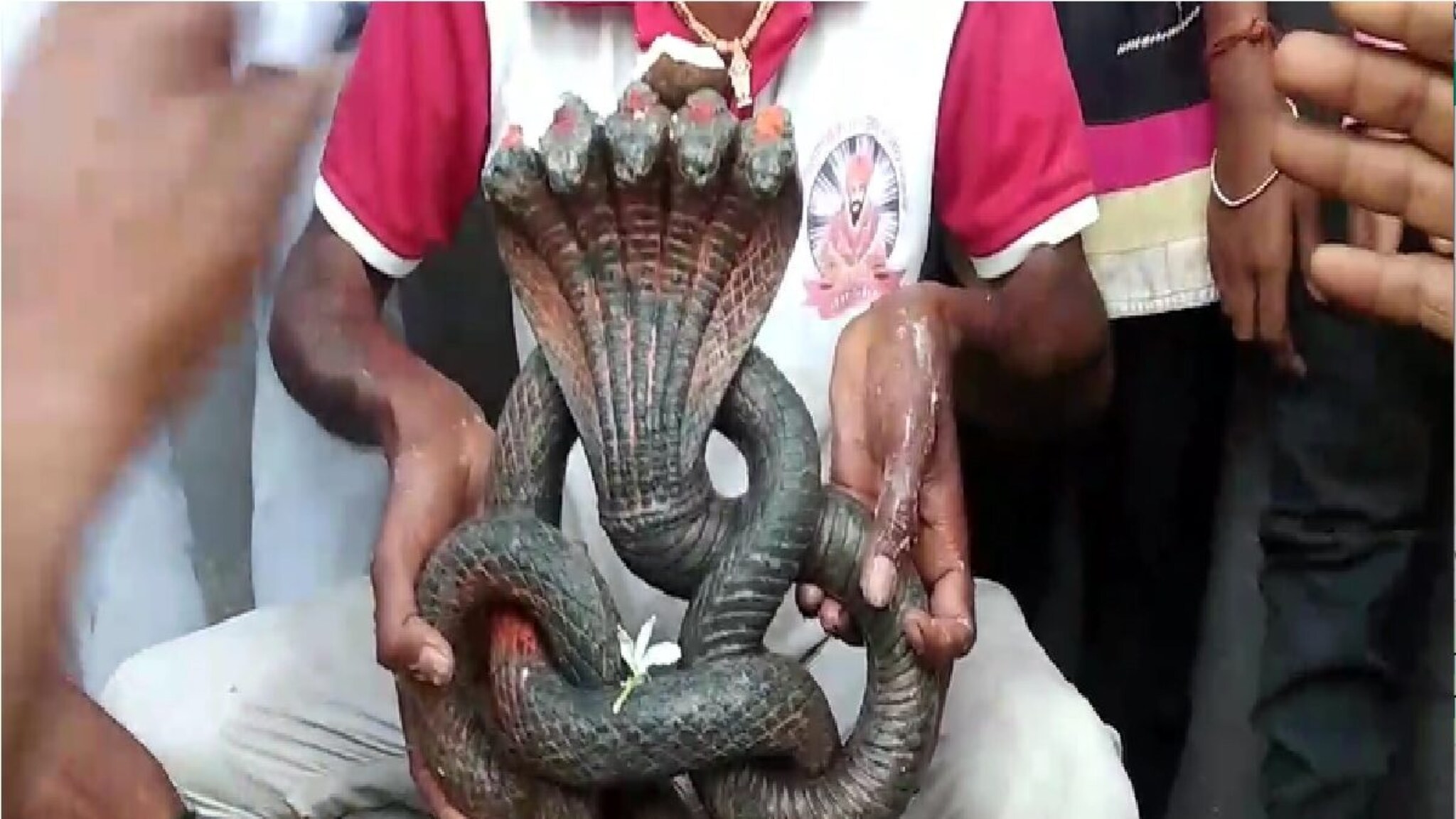 Buldhana News : घरात खोदकाम करताना सापडलं असं काही की...बघायला अख्ख गाव जमलं!