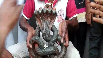 buldhana news buldhana news