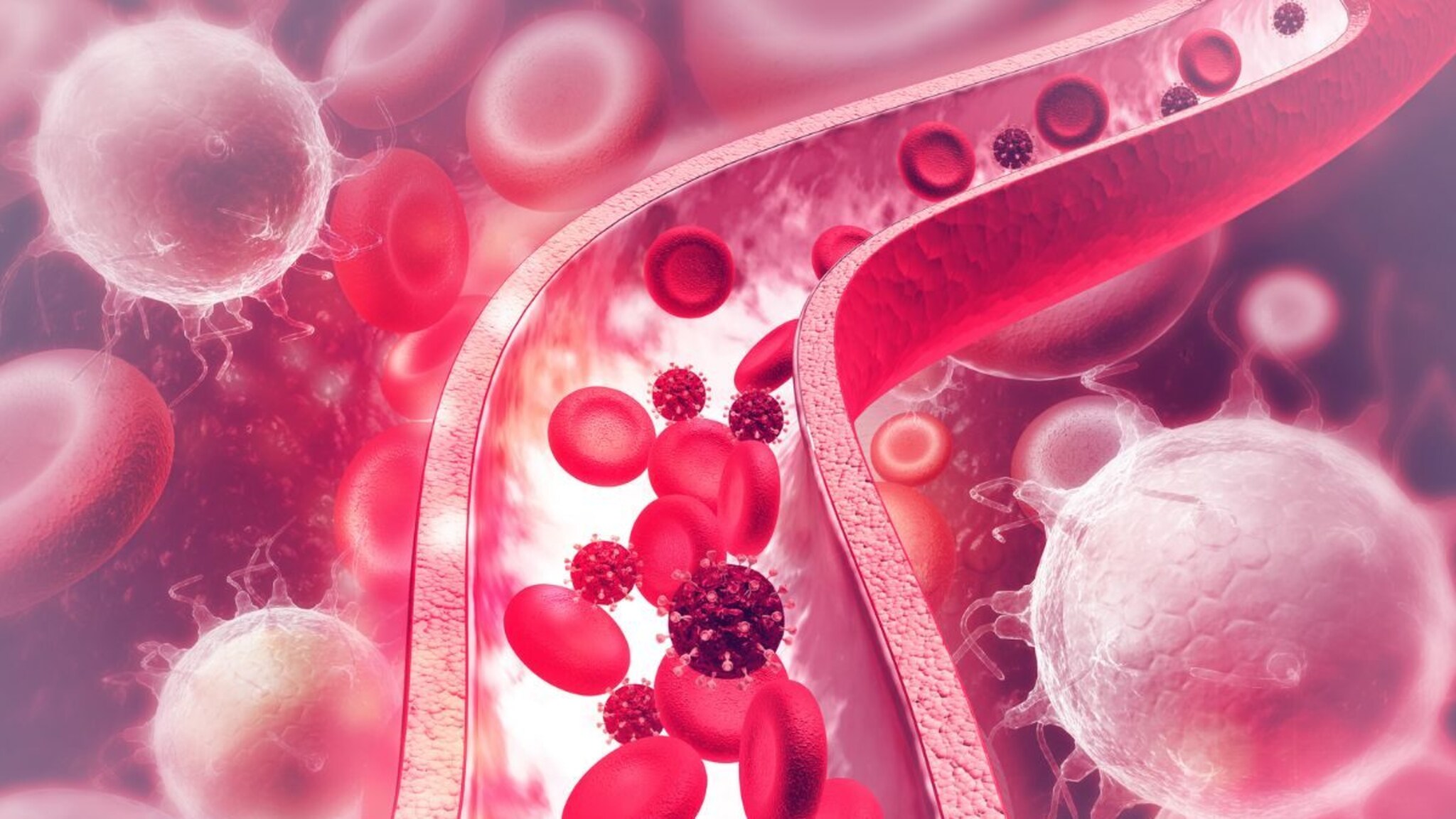 GBS Outbreak: पुण्याबाहेर GBS पसरतोय, साताऱ्यातून आली नवी आकडेवारी समोर, आरोग्य यंत्रणा हायअलर्ट