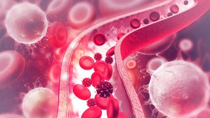 (प्रतिकात्मक फोटो) (प्रतिकात्मक फोटो)