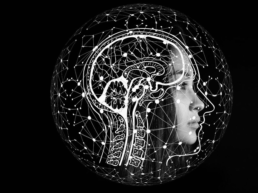 काही छोट्या गोष्टी किंवा काही ट्रीक्सने हे शब्द लक्षात ठेवले तर तुम्हाला यातील फरक लगेच कळेल.