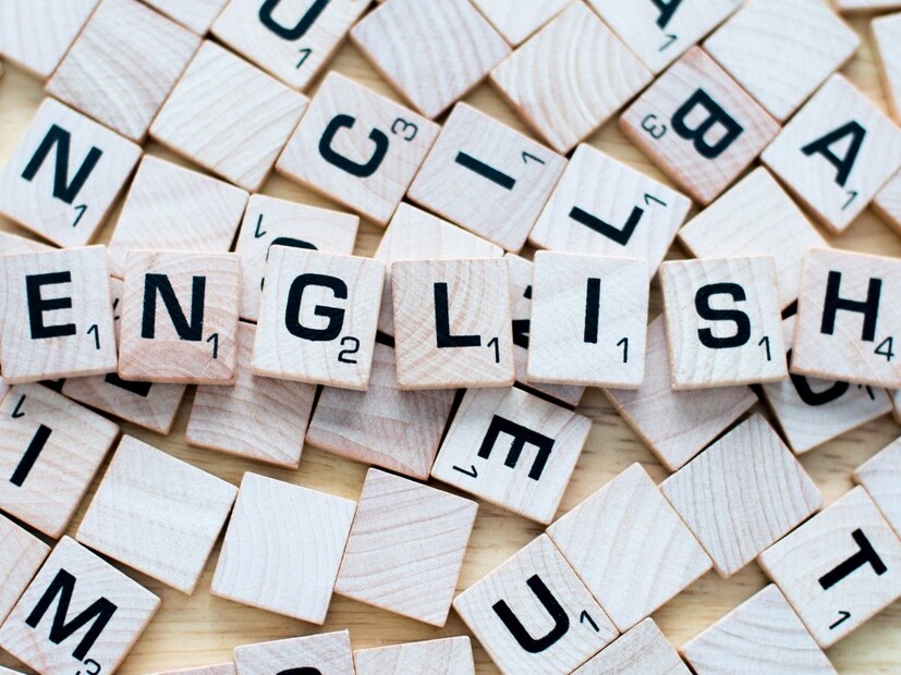 आता तुम्हाला दोन्ही शब्दांमधील फरक लक्षात आला असेल. तर तुम्हाला आता यामुळे कन्फ्युजन होणार नाही.