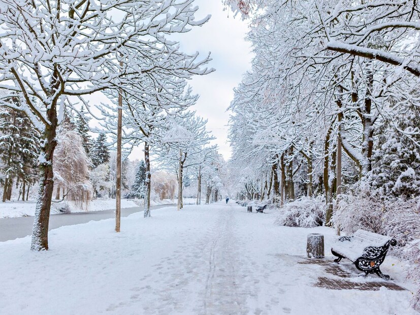 शतकानुशतके, याकुटियाचे लोक टिकाऊ प्राण्यांच्या कातड्यापासून बनवलेले कपडे परिधान करतात. पशुपालन, घोडे आणि शिकार हे स्थानिक लोकांचे पारंपारिक व्यवसाय आहेत. याकूट लोक फर व्यापारात देखील गुंतले होते, चांदी आणि सोन्याचे दागिने, कोरलेली हाडे, हस्तिदंत आणि लाकडी हस्तकला यासारख्या चैनीच्या वस्तूंची विक्री करतात.