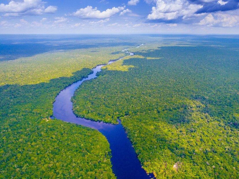 महाराष्ट्राला तर नद्यांचं वरदान आहे. इथे सह्याद्रीपर्वतांमुळे लहान मोठ्या अशा अनेक नद्या वाहतात.