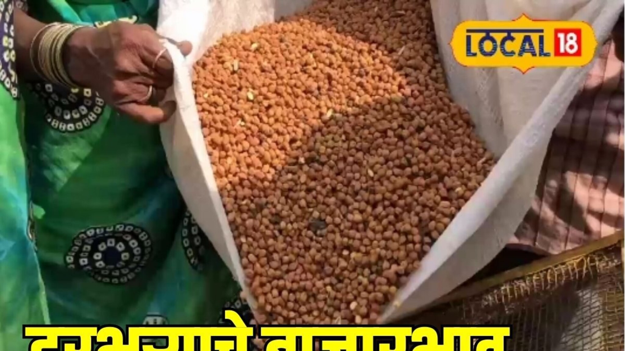 नवा हरभरा बाजारात दाखल, जालन्यात मिळाला इतका दर, यंदा कसे राहतील बाजारभाव?