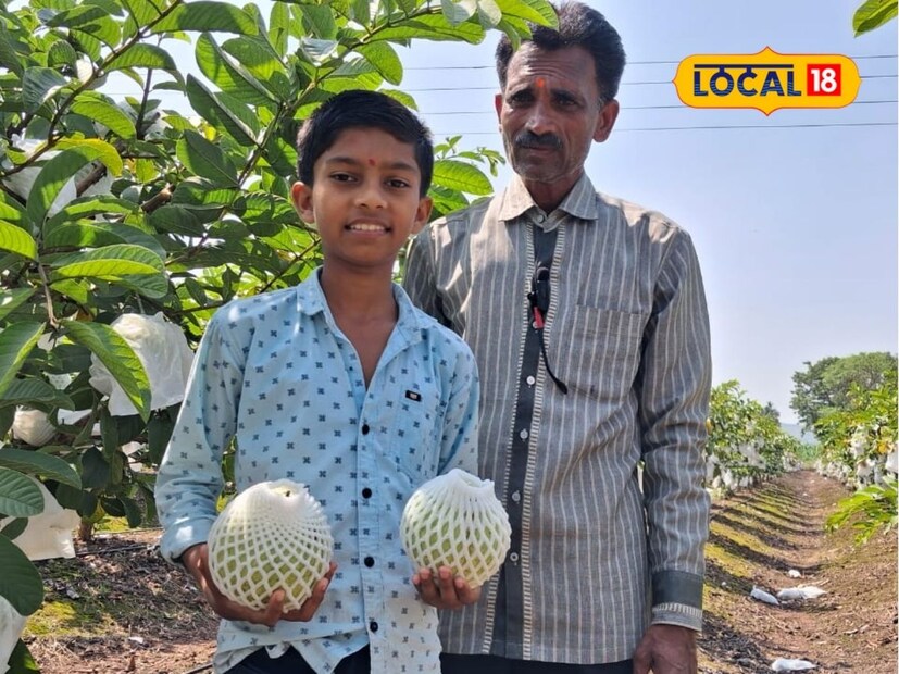 उदय पाटील हे 2000 सालापासून शेती करत आहेत. भाऊ आणि कुटुंबाच्या मदतीने ते शेतीत नेहमीच नव-नवीन पिकांचा प्रयोग करत असतात. आधुनिक शेतीकडे त्यांचा पहिल्यापासूनच कल होता. पीक प्रयोगातून त्यांनी 2018 साली पेरूची लागवड केली आहे. दीड एकरामध्ये त्यांनी VNR थायलंड जातीच्या पेरूची बाग फुलविली आहे.