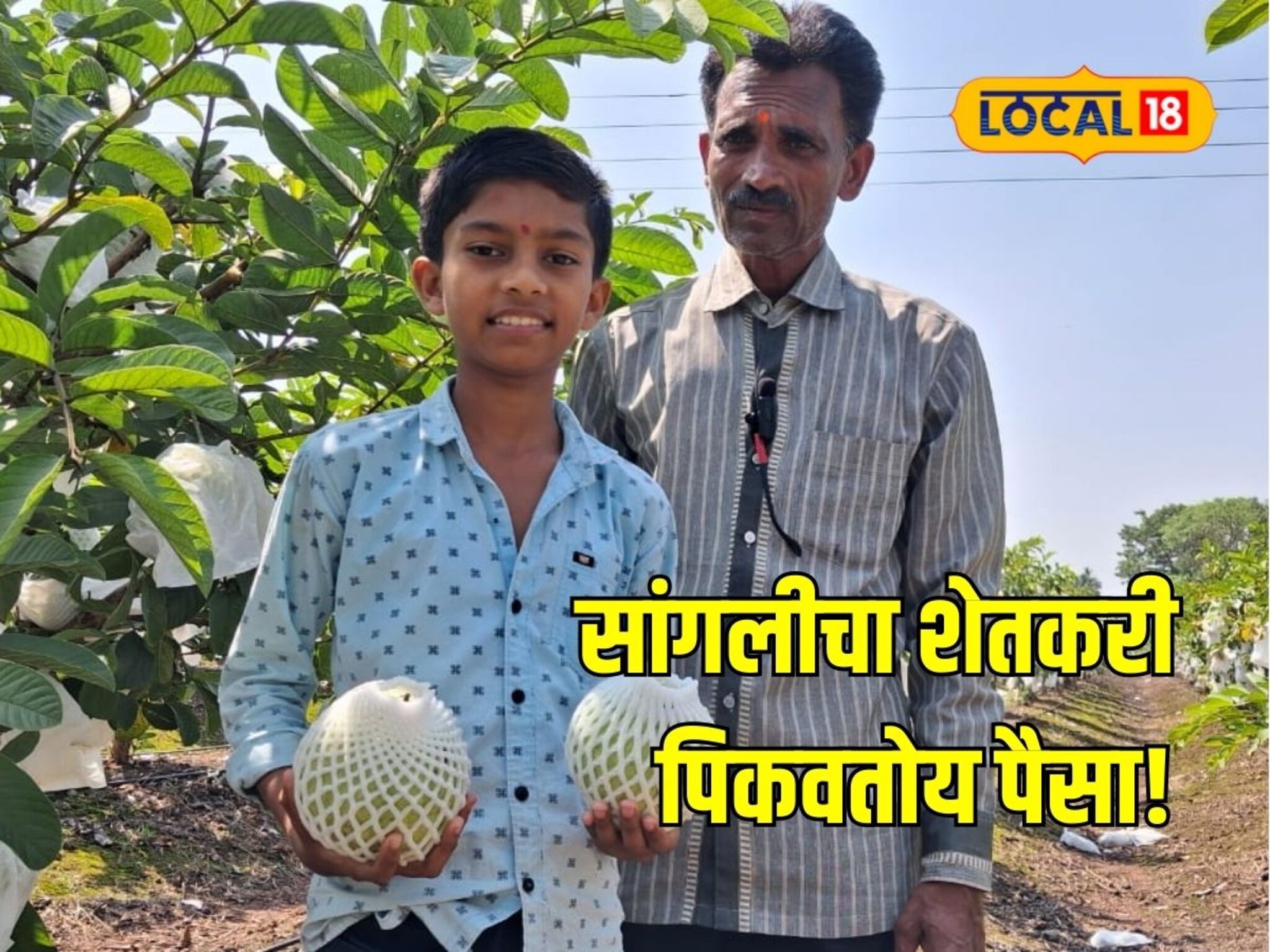 उसाचा नादच सोडला अन् लावलं पैशाचं पीक, दीड एकरातून शेतकऱ्याने कमावले 20 लाख!