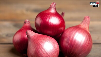 प्रतिकात्मक फोटो : डोळ्यात पाणी आणणारा कांदा ठरतो, अनेक आजारांवर गुणकारी, मात्र ‘या’ लोकांनी कांद्यापासून रहावं दूर प्रतिकात्मक फोटो : डोळ्यात पाणी आणणारा कांदा ठरतो, अनेक आजारांवर गुणकारी, मात्र ‘या’ लोकांनी कांद्यापासून रहावं दूर