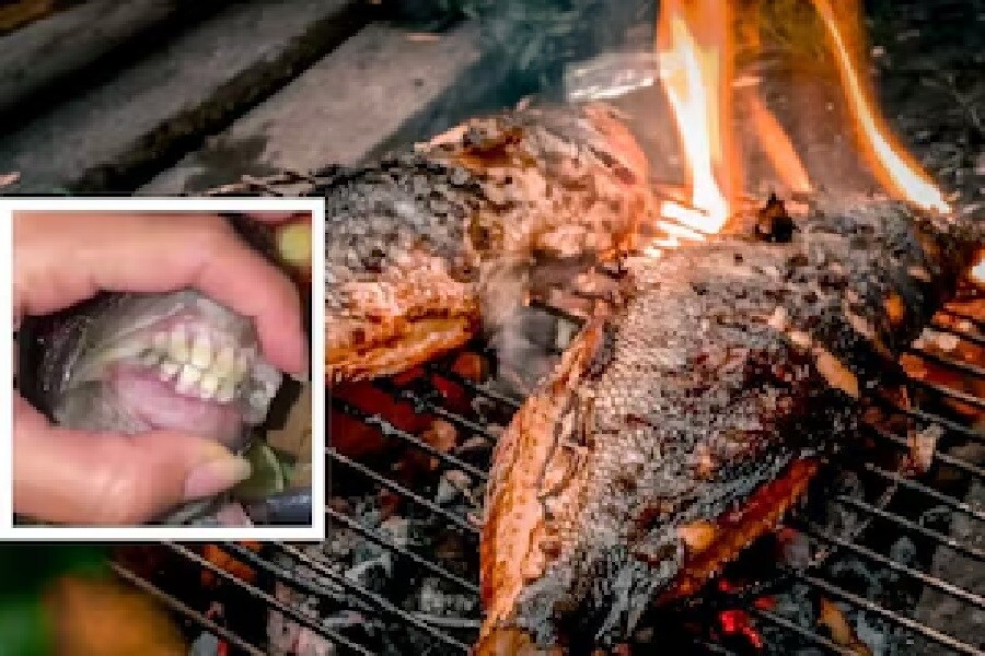 Photo : Instagram/Paula Moreira