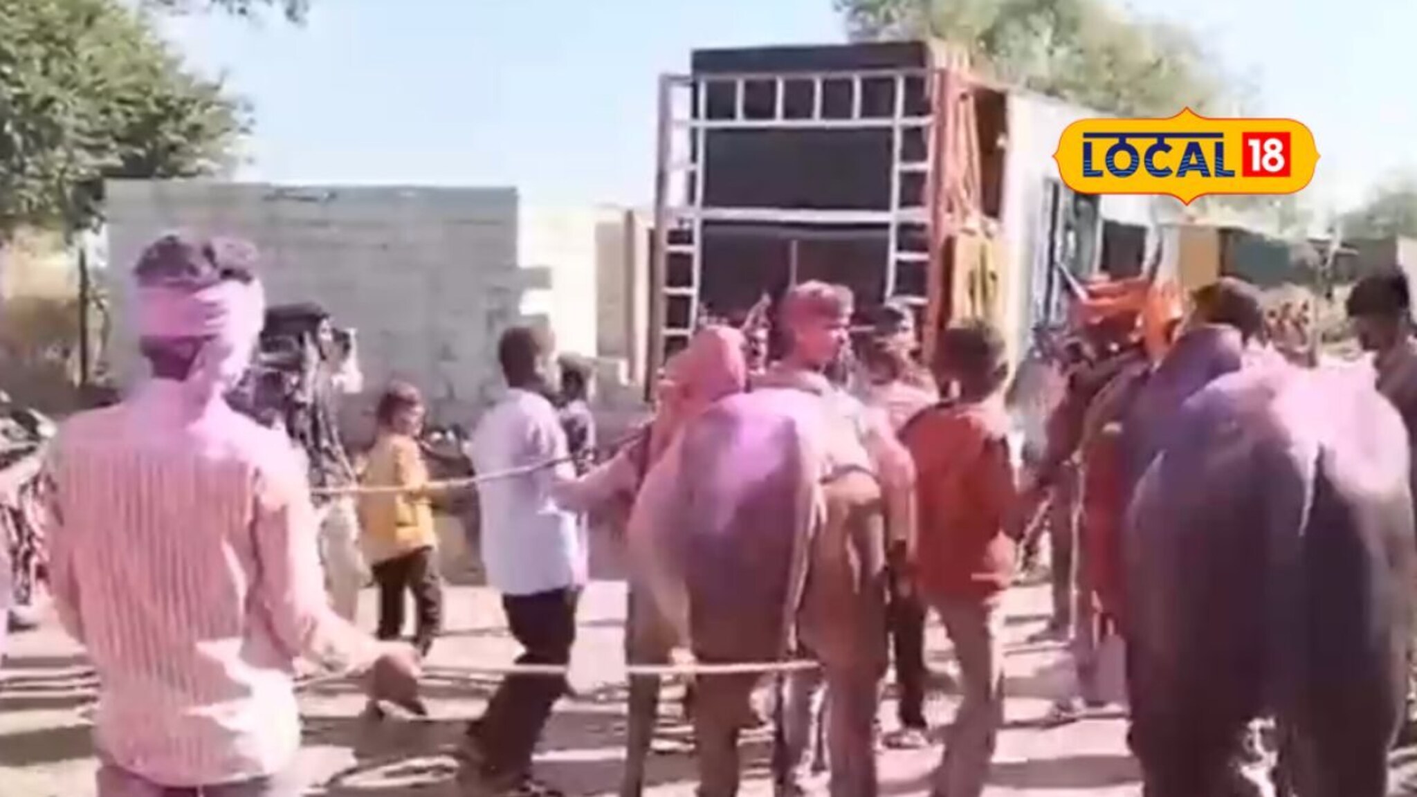 बैलगाडा शर्यतीत देवा आणि चांदला हिंदकेसरी, डिजे लावून काढण्यात आली जंगी मिरवणूक