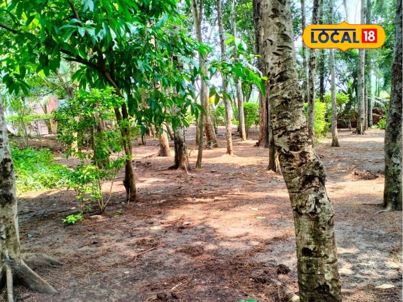 क्रांती स्मृतीवनात प्रत्येक हुतात्म्याच्या नावाने एक झाड लावण्यात आले असून त्यास क्यूआर कोड दिला आहे. या कोडद्वारे वीरांची माहिती मराठी, हिंदी आणि इंग्रजीत मिळते. या उपक्रमात ‘वन, पर्यावरण आणि सामाजिक संतुलन’ या त्रिसूत्रीच्या आधारावर युवकांना बांधून ठेवण्यासाठी प्रबोधन केंद्र उभारले जात आहे. सांगलीपासून