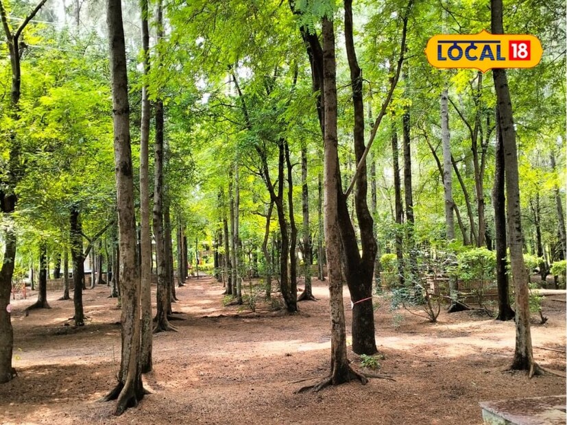 स्मृतीवनाच्या सुरुवातीला थोर मातांच्या स्मृती वृक्षांचे ‘विसावा केंद्र’ आहे, जेथे थोरवीरांच्या स्मृती जपल्या जातात. याठिकाणी व्हिजन सेंटर, स्मृती खांब, विचारमंच, आणि स्मृती पॅगोडा यांची स्थापना करण्यात आली आहे.