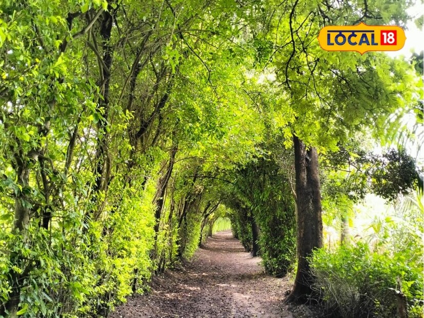 “वाळवा हे 1942 च्या चळवळीचे प्रमुख केंद्र होते, तेव्हा येथील तरुण स्वातंत्र्यलढ्यासाठी सर्वस्व अर्पण करणारे होते. या पार्श्वभूमीवर तरुणांना देशासाठी प्रेरणा देण्यासाठी ‘क्रांती स्मृतीवन महाराष्ट्र व्यासपीठ’ तयार करण्यात आले. क्रांतिकारकांच्या नावाने एक-एक वृक्ष लावून त्यांची स्मृती जागवली जाते,” असे संपत पवार सांगतात.