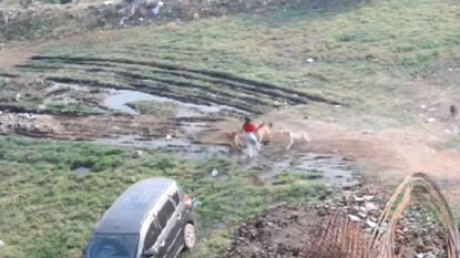 (येवल्यातील घटना) (येवल्यातील घटना)