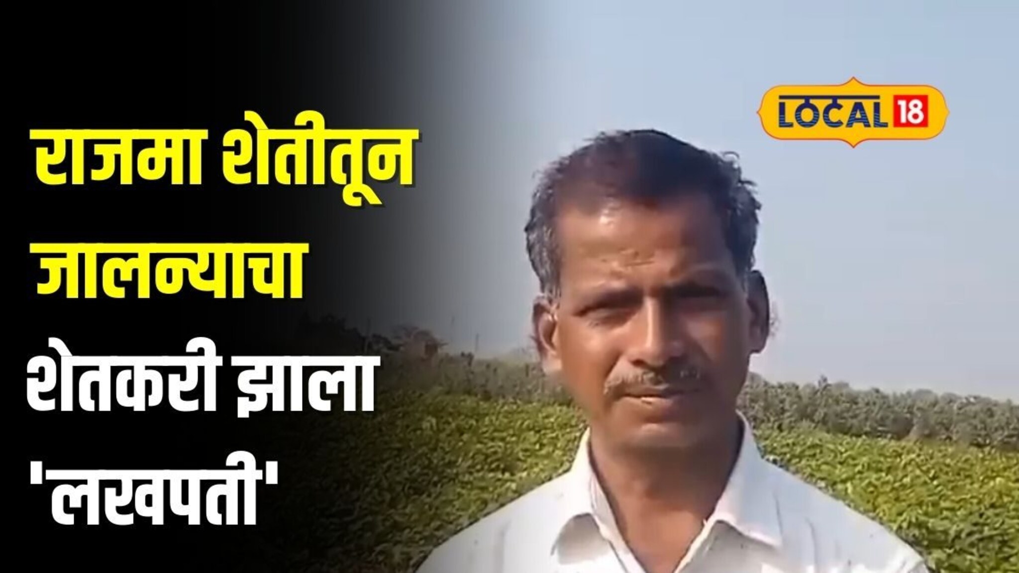 राजमा शेतीमुळे शेतकऱ्याचे नशीब चमकलं, अडीच महिन्यात घेतलं लाखोंचं उत्पन्न