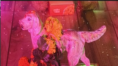 ratnagiri guhagar new year 