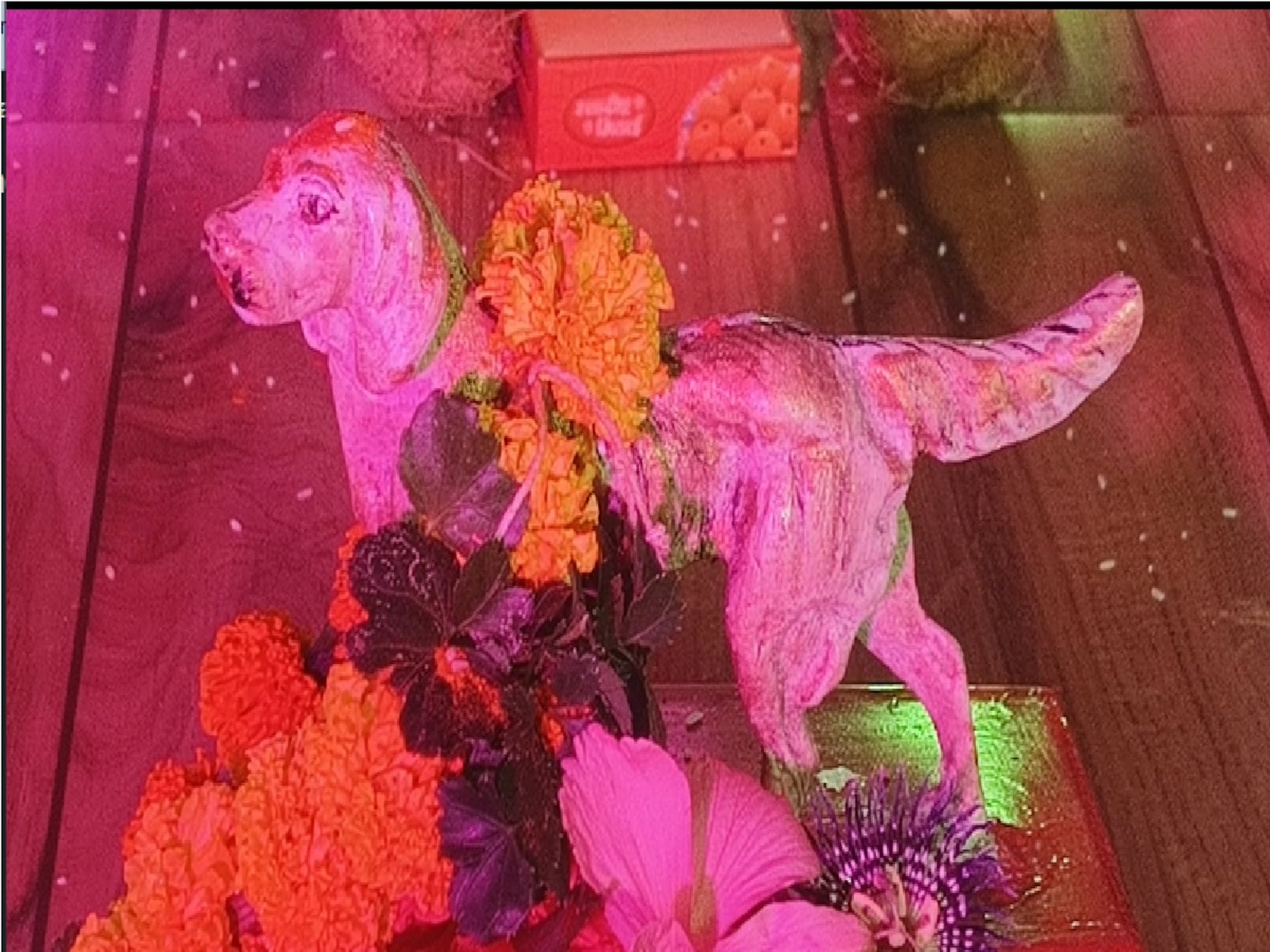 New Year 2025 : ऐकावं ते नवलच! नवीन वर्षात करतात कुत्र्याच्या मुर्तीची पूजा, रत्नागिरीत आहे अनोखी प्रथा