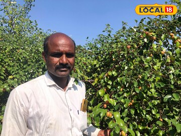 शेतकऱ्याचा नादच खुळा! मराठवाड्यात पिकवला पैसा, काश्मिरी रेड ॲपलनं केलं मालामाल शेतकऱ्याचा नादच खुळा! मराठवाड्यात पिकवला पैसा, काश्मिरी रेड ॲपलनं केलं मालामाल