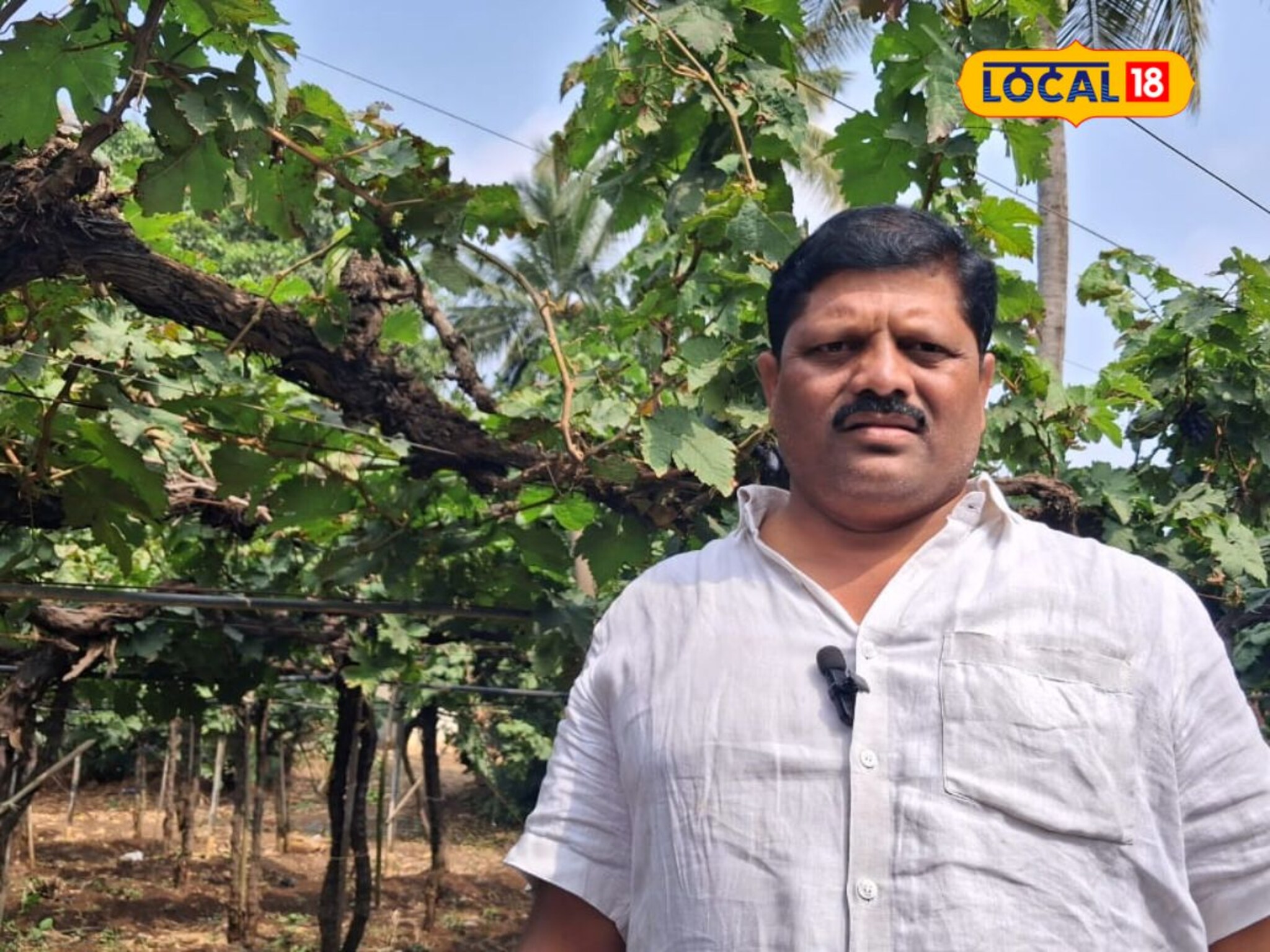 माजी सैनिक शेतासाठी निसर्गासोबत लढला, सोन्यासारखं घेतलं पिक, इतका मिळाला भाव