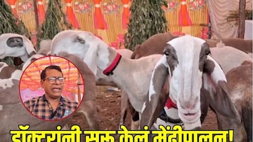 सांगलीच्या