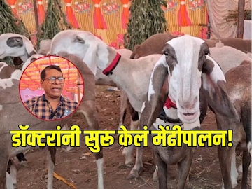 सांगलीच्या