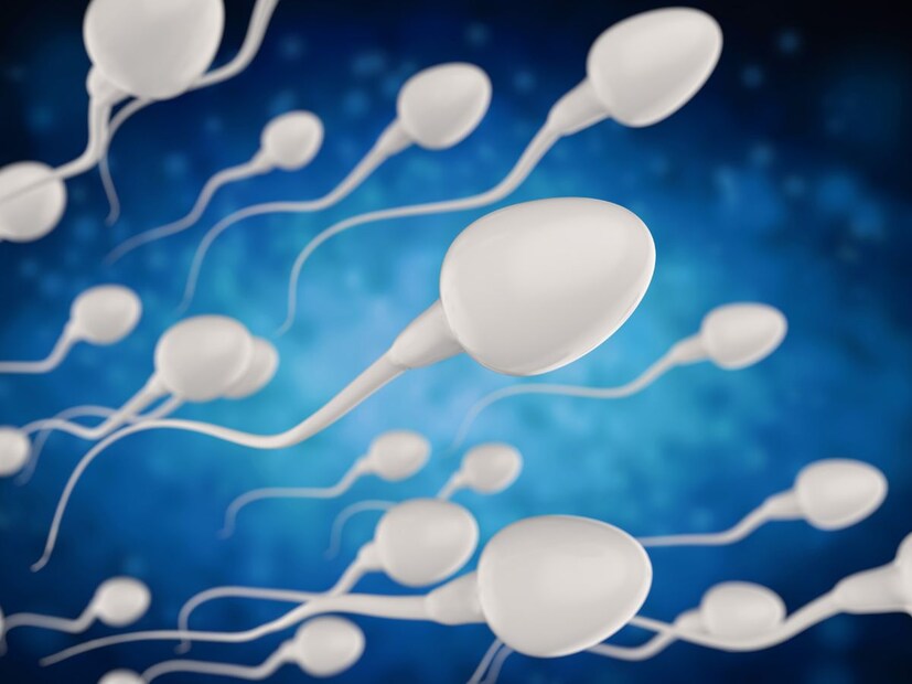 प्रजनन प्रक्रियेचे व्हिडीओ पाहिले तर स्पर्ममध्ये अंड्यापर्यंत पोहोचण्यासाठी जणू रेसच लागलेली असते. आता हे सगळं आपण व्हिडीओमध्ये पाहतो. पण प्रत्यक्षातही खरंच असंच होतं का? असा प्रश्न तुम्हाला पडला असेलच.