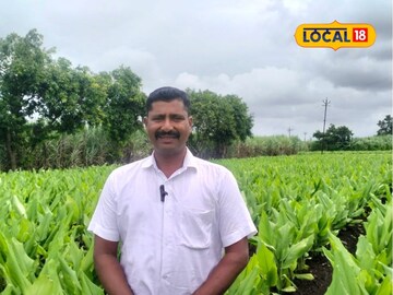 सुशांतची शांतीत क्रांती! वडिलांच्या मार्गदर्शनात घेतलं हळदीचं एकरी 42 टन उत्पादन सुशांतची शांतीत क्रांती! वडिलांच्या मार्गदर्शनात घेतलं हळदीचं एकरी 42 टन उत्पादन