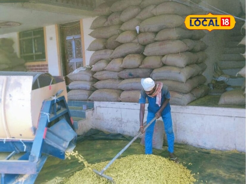तरुण शेतकरी सुशांत जाधव यांना त्यांच्या कुटुंबाची मोठी साथ आहे. यामुळे शेतीत नवनवीन प्रयोग करणे शक्य होत असल्याचे त्यांनी लोकल18 बोलताना सांगितले. ते एका क्षेत्रात सतत एकच पीक न घेता पीक बदल करतात. हळद पिकाचा नेमका अभ्यास असल्याने दरवर्षी शेत बदलून ते हळदीचे पीक घेत आहेत. अलीकडे उत्तम प्रकारचे सेलम जातीचे बियाणे त्यांनी घरीच जतन केले आहे.