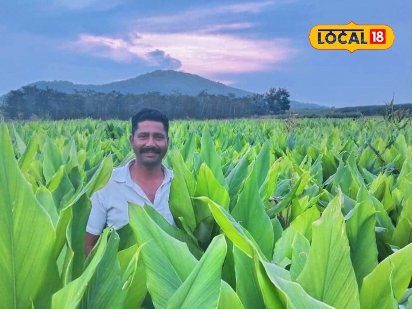 सुशांत जाधव हे मागील 12 वर्षांपासून वडिलांच्या मार्गदर्शनाखाली हळद पीक घेत आहेत. अलीकडच्या पाच वर्षात एकरी 42 क्विंटल हळदीच्या उत्पादन त्यांनी घेतले आहे. नेमका हा आलेख त्यांनी कसा चढता ठेवला, त्यातून त्यांना कसा फायदा झाला, याचबाबत आपण जाणून घेऊयात.