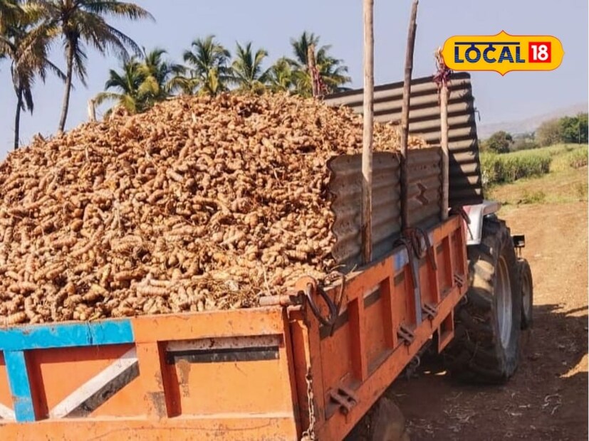 “दरवर्षी क्षेत्र बदलून आम्ही हळद लावतो. यामुळे ऊस पिकापासून शेताला विश्रांती मिळते. पीक फेरपालट झाल्याने उत्पादन चांगले मिळते. शिवाय आधुनिक तंत्रज्ञानाच्या मदतीने मशागतीसह हळदीची लागवड ही यंत्राद्वारे होते”, असे ते म्हणाले.