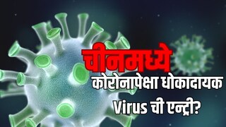 प्रतिकात्मक फोटो