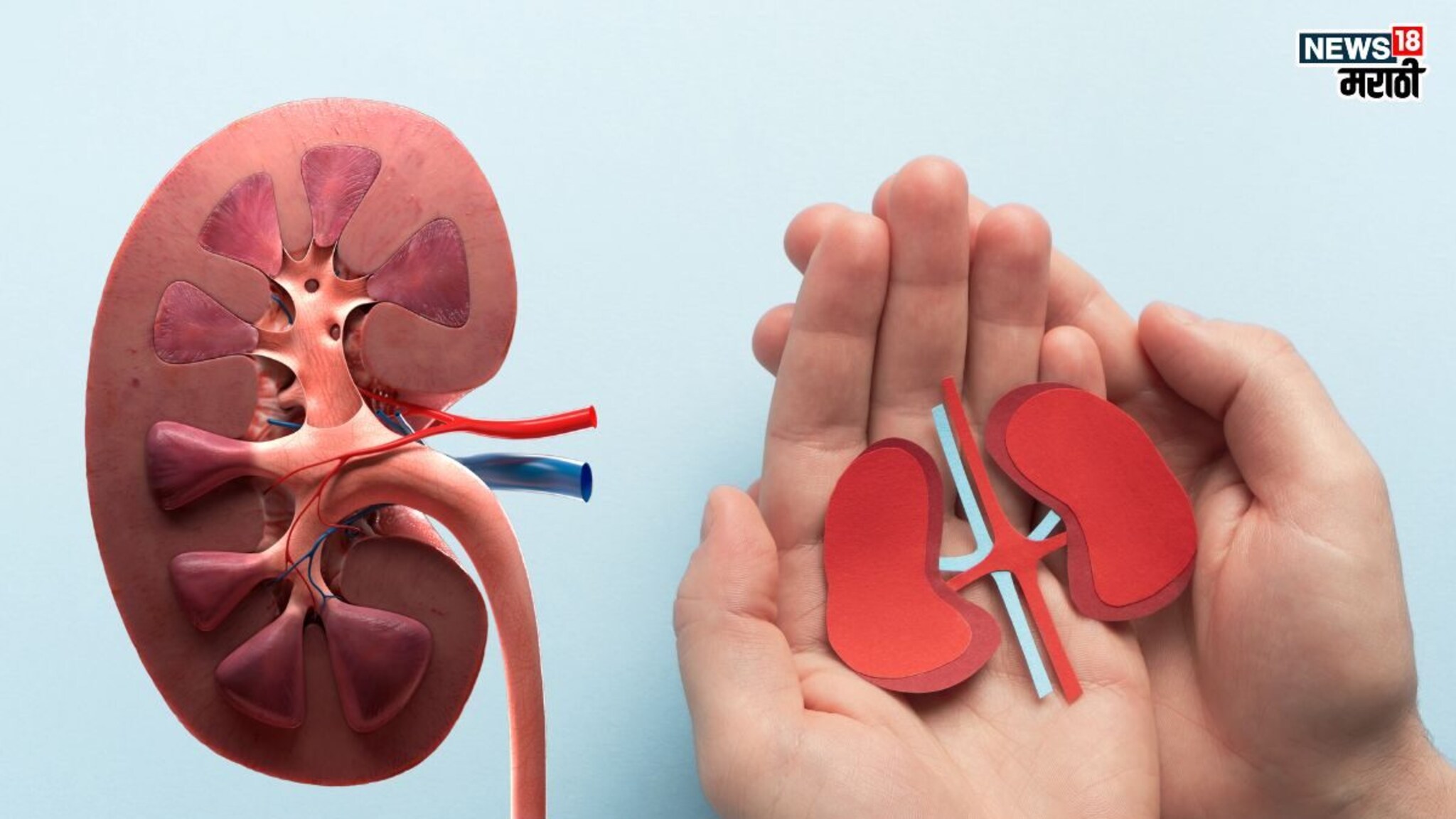 6 Worst Foods for Kidney Stone: किडनी स्टोनचा त्रास होतोय? टाळा ‘हे’ पदार्थ, आपोआपच कमी होईल त्रास