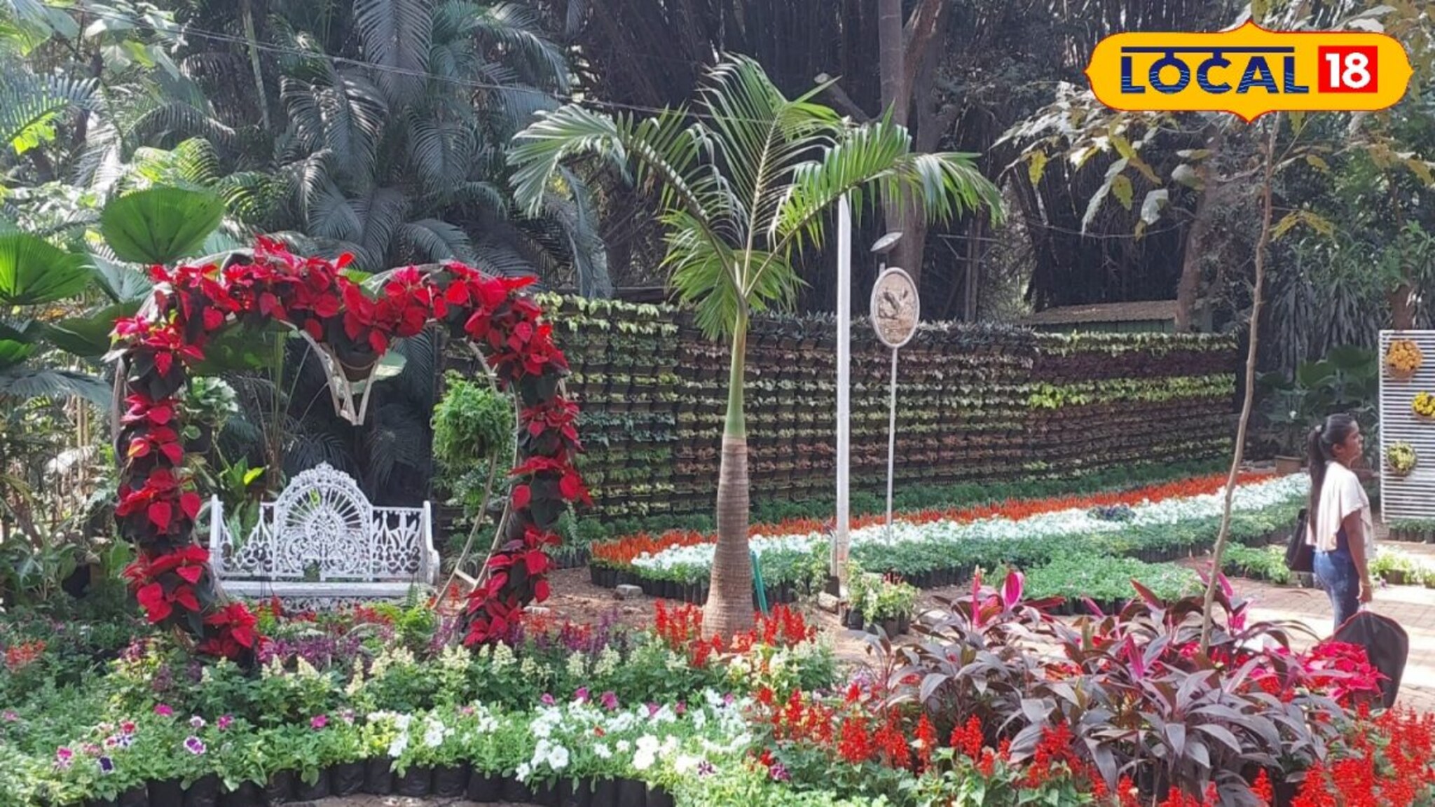 व्हॅलेंटाईन डे साजरा करण्यासाठी रोमँटिक आणि निसर्गरम्य वातावरण शोधताय? पुण्यातील हे 5 ठिकाणं बेस्ट ऑप्शन!