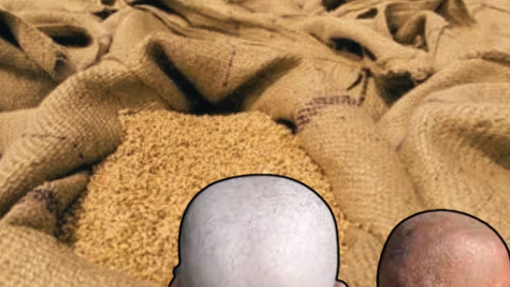 अख्खं गाव टक्कलं झालं, पाण्यामुळे नाहीतर गव्हामुळे झाला घात; सरकारनेच दिलं खायला विष!