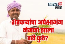 शेतकऱ्यांचा अपेक्षाभंग नेमका झाला तरी कुठे? जाणून घ्या तज्ज्ञांची मतं
