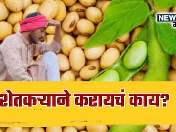News18