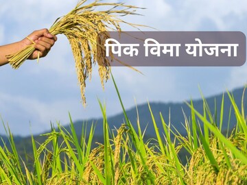 News18 News18