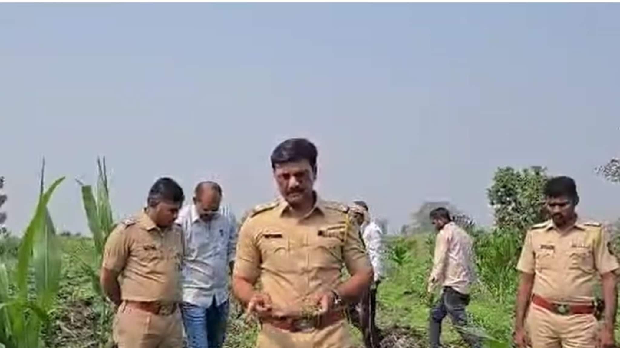 मक्याच्या शेतात असं काही दिसलं की पोलिसही हादरले, धुळ्याच्या शेतकऱ्याला अटक
