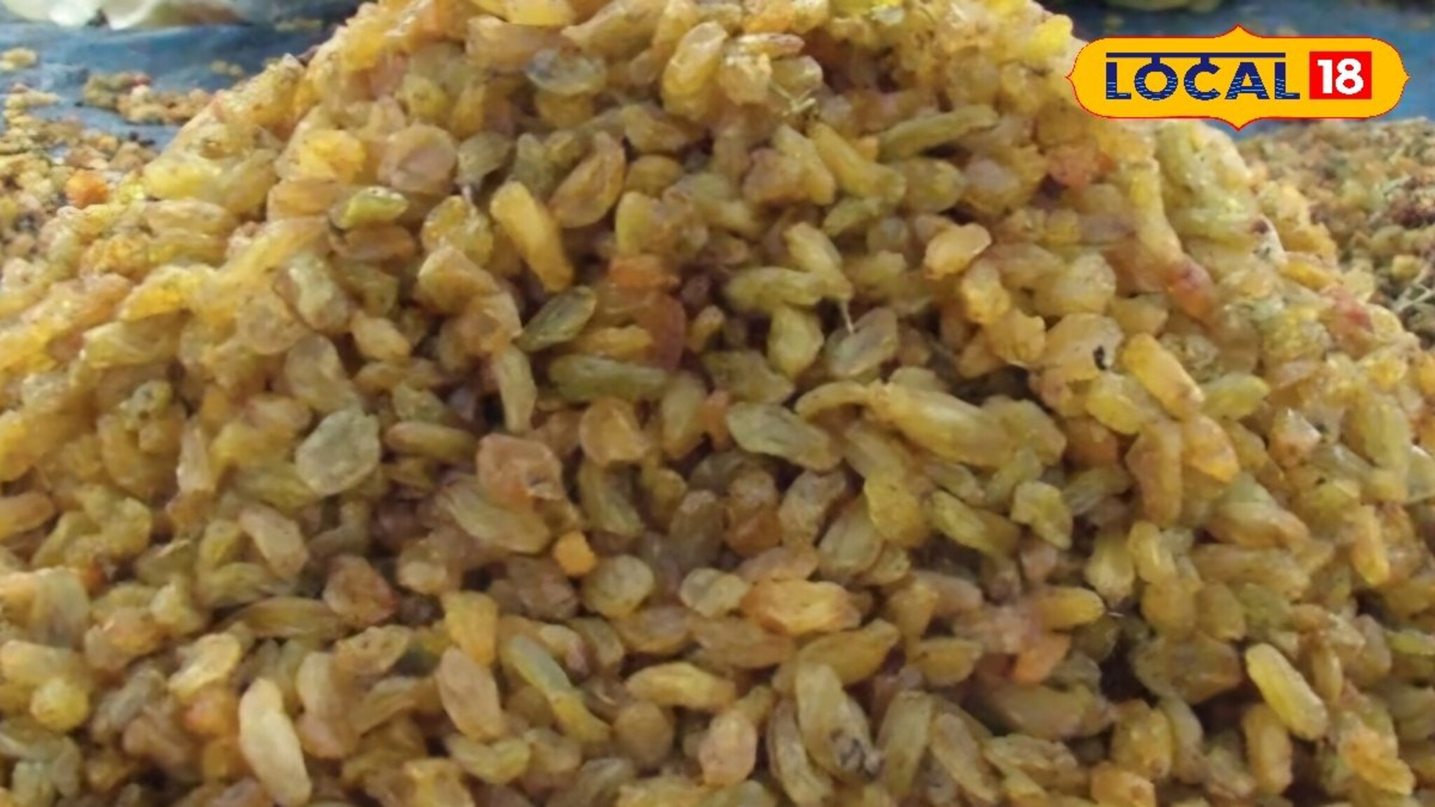 बेदाणा खातोय भाव! सांगलीत पहिल्याच दिवशी 30 टन आवक, किती मिळाला दर?