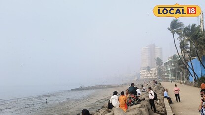 व्हॅलेंटाइन डेच्या आधी हॉट होणार मुंबई, बाहेर पडण्याआधी एकदा पाहा टेम्परेचर