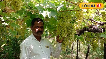 सेंद्रिय'