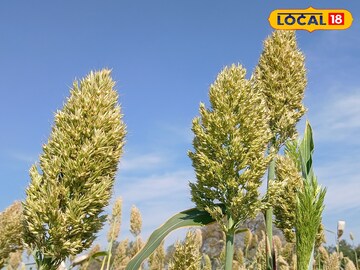 लाह्यासाठी